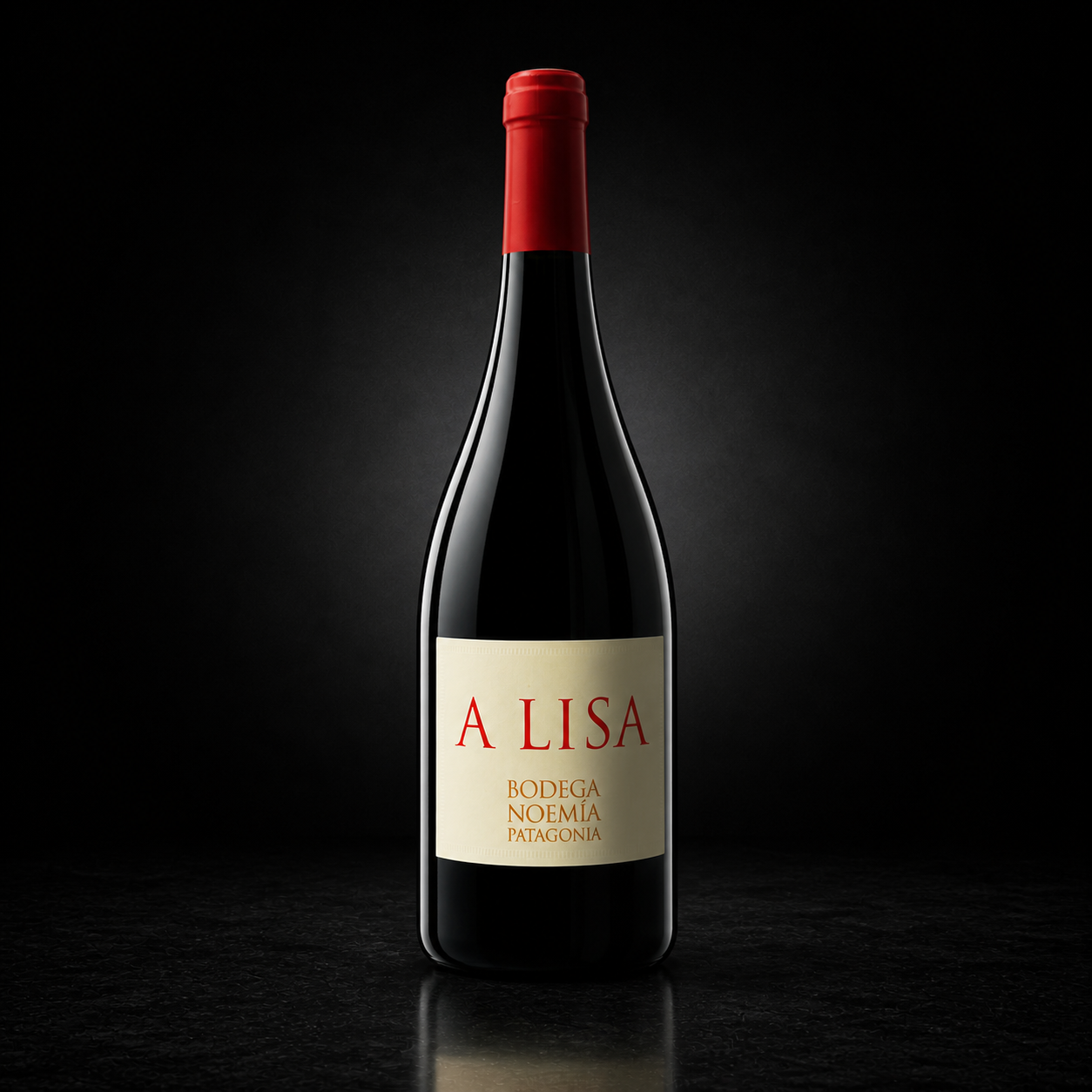 A LISA MALBEC NOEMIA 750ML